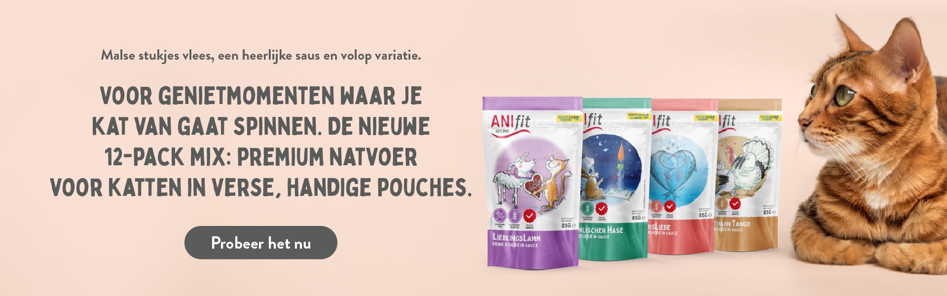 Wet cat food in a fresh pouch